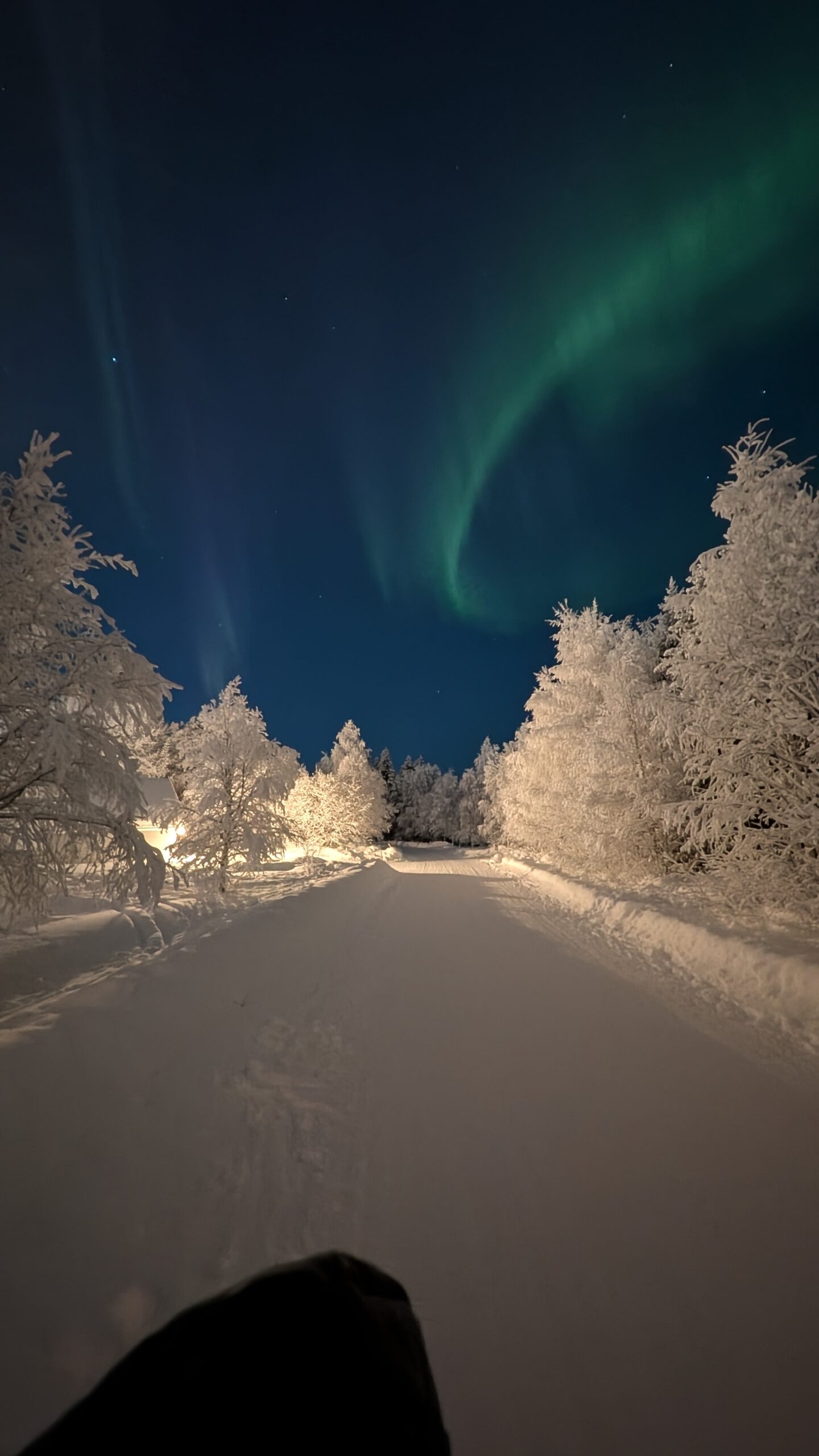 Il richiamo del Nord