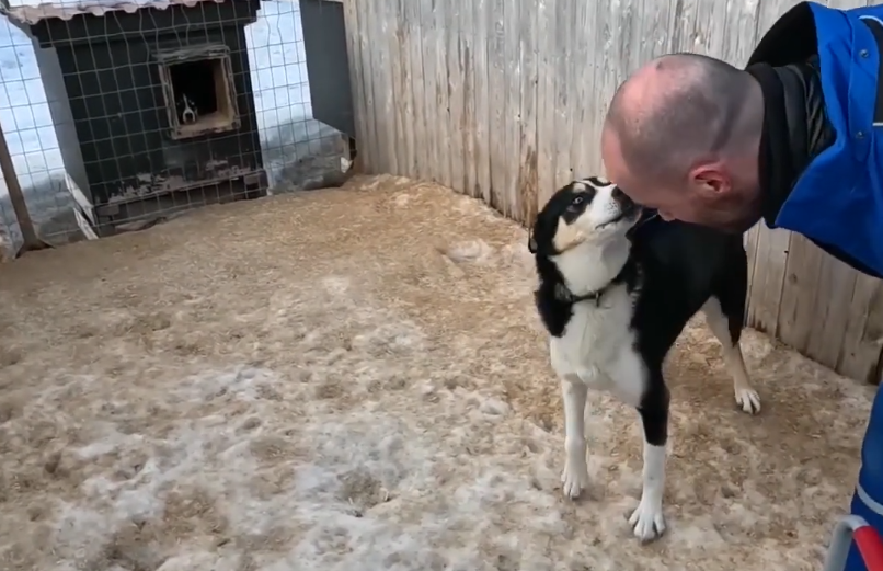 Stefano Mini si china per toccare il naso di un cane bianco e nero in un recinto innevato, con un altro cane in una cuccia.