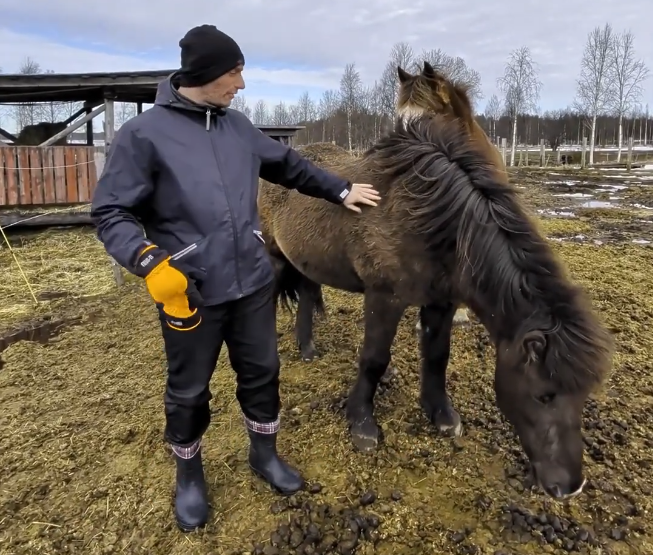 Stefano Mini accarezza un cavallo marrone scuro con una folta criniera in un recinto fangoso, sotto un cielo nuvoloso.