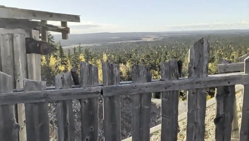 Vista panoramica di una foresta autunnale attraverso una recinzione di legno rustica, con un cielo sereno e orizzonte lontano