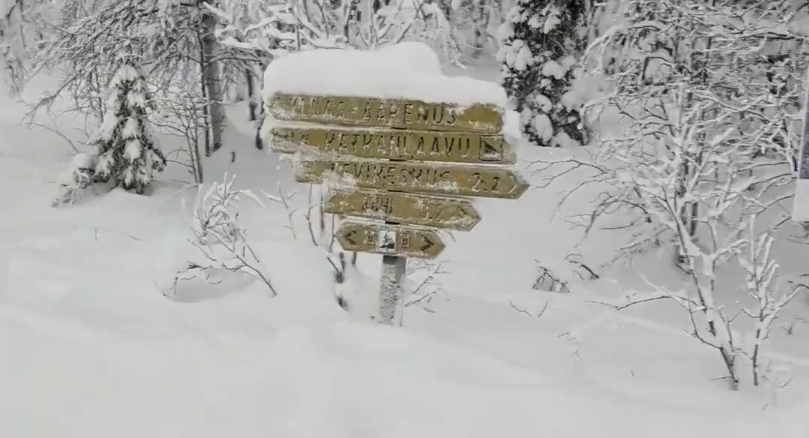 Segnaletica direzionale in legno coperta di neve in un paesaggio invernale con alberi innevati e neve profonda.