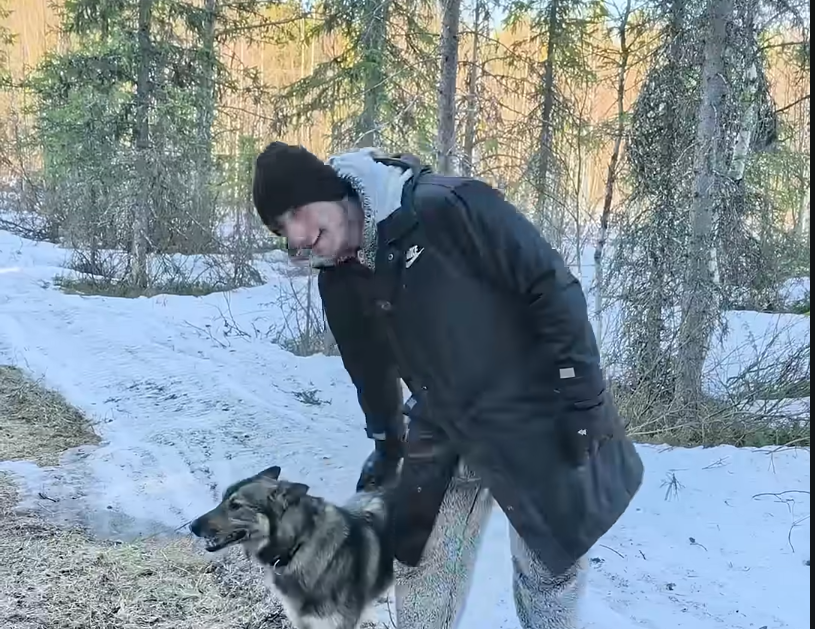 STefano con un alaskan husky in mezzo all hankikanto primaverile.
