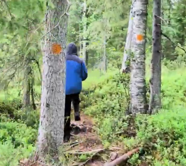 Stefano Mini cammina su un sentiero nel bosco, indossando una giacca blu, con alberi e vegetazione verde intorno.