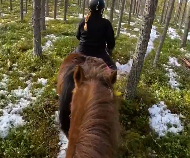 Passeggiata a cavallo in un bosco innevato, vista dal dorso di un cavallo che segue un altro cavallo con cavaliere.