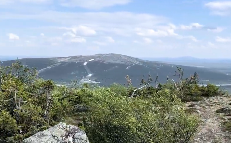 Vista panoramica da una montagna con vegetazione in primo piano e una montagna innevata in lontananza sotto un cielo nuvoloso