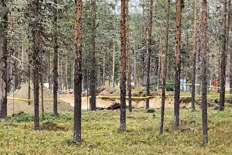 Scavo in un bosco di pini con nastro giallo di sicurezza. Terreno smosso e alberi alti.
