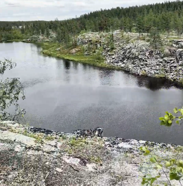 Lago scuro circondato da rocce e foreste di conifere sotto un cielo nuvoloso, con vegetazione sparsa in primo piano.