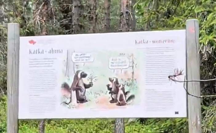Pannello informativo in legno in una foresta con testo e un'illustrazione a fumetti di due ghiottoni che interagiscono.