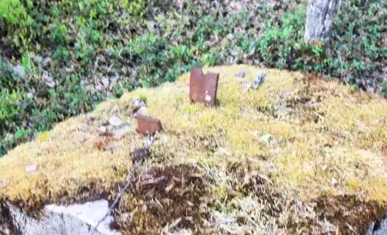Dettaglio di una struttura arrugginita in ferro sul confine Finlandia-Russia.