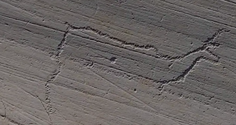 Antica incisione rupestre di una renna stilizzata su roccia grigia.