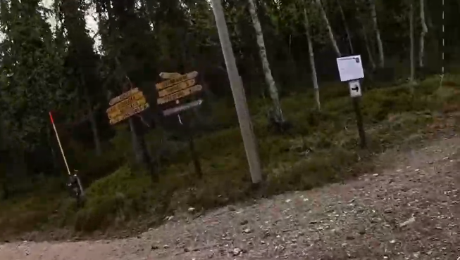 Cartelli direzionali in legno lungo un sentiero sterrato tra alberi in una foresta.