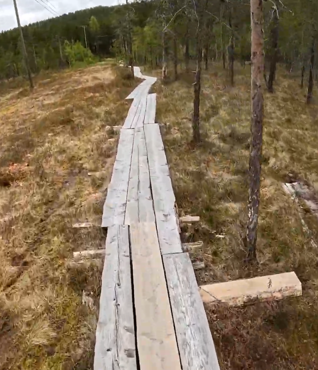 Passerella di legno che si snoda attraverso una zona boschiva e paludosa. Terreno coperto da erba secca e muschio, con alberi
