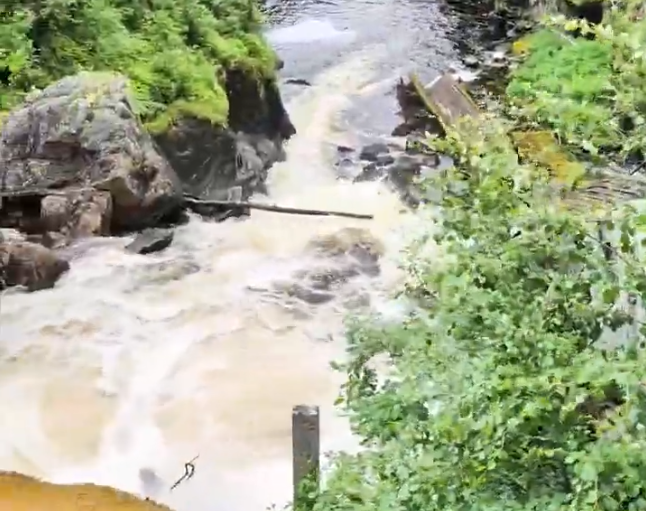 Fiume impetuoso con acqua torbida e schiumosa che scorre tra rocce e vegetazione lussureggiante, con un tronco d'albero cadut