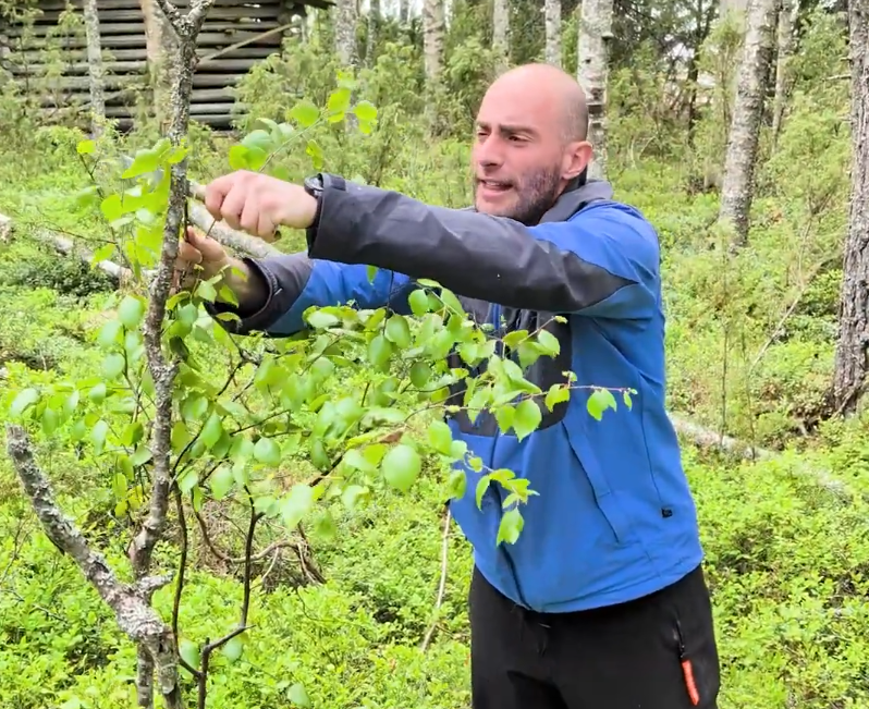 Stefano Mini esamina attentamente un giovane albero con foglie verdi in una foresta lussureggiante.