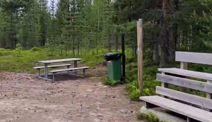 Zona di riposo nel bosco con tavolo da picnic, panche e cestino verde.