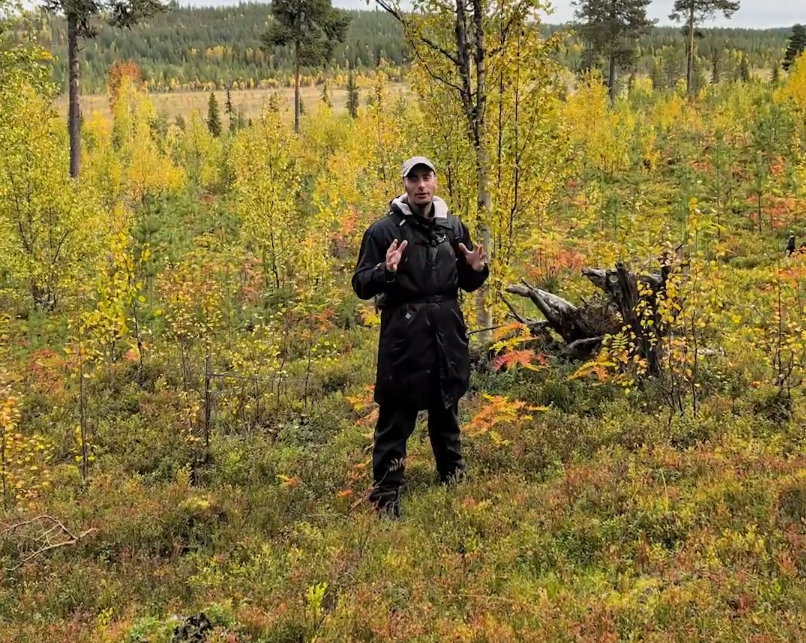 Stefano Mini in una foresta autunnale con alberi dalle foglie gialle e verdi e vegetazione bassa colorata.