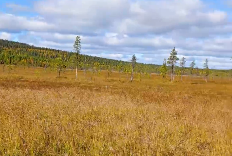 Ruska in Lapponia a settembre