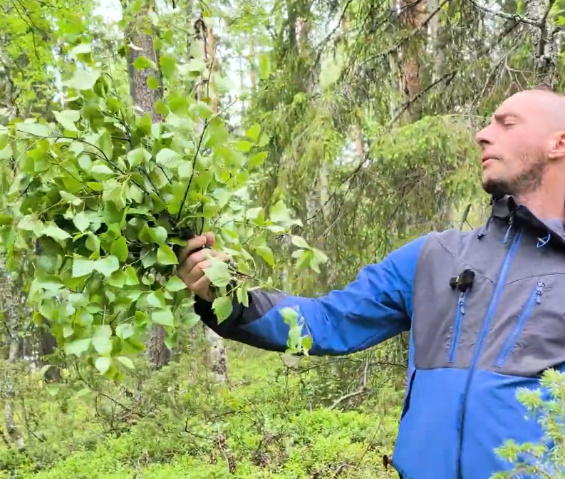 Stefano Mini tiene un fascio di rami di betulla freschi in una foresta, preparandosi per una sauna tradizionale.