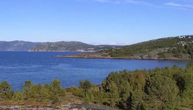 Vista panoramica di un fiordo norvegese con acqua blu, coste rocciose coperte da fitta vegetazione e montagne in lontananza s