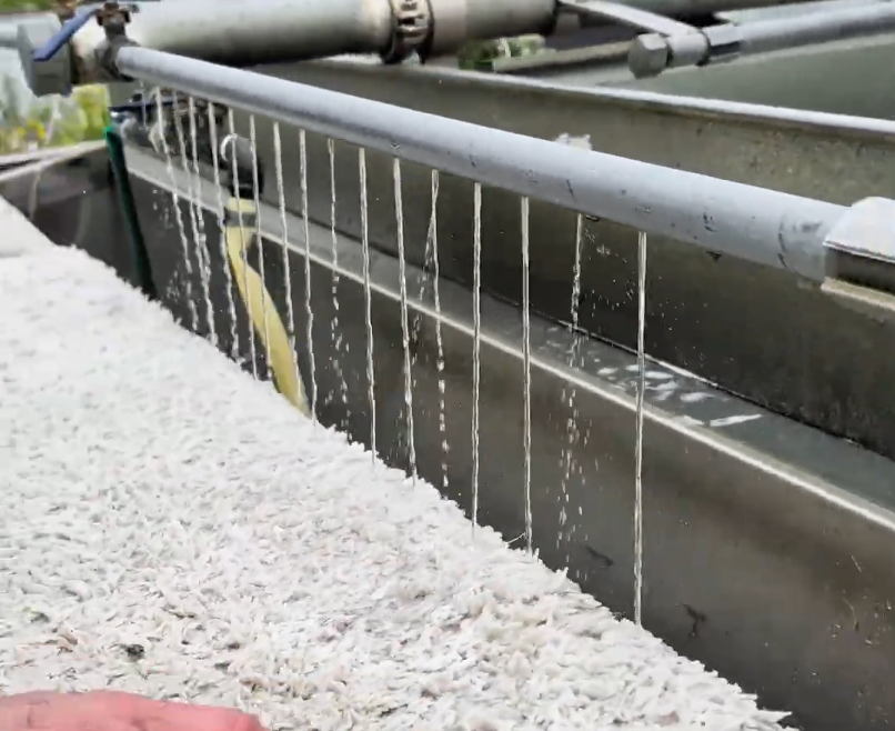 Acqua che scorre da un tubo con più getti, lavando un letto di materiale granulare bianco in una vasca metallica.