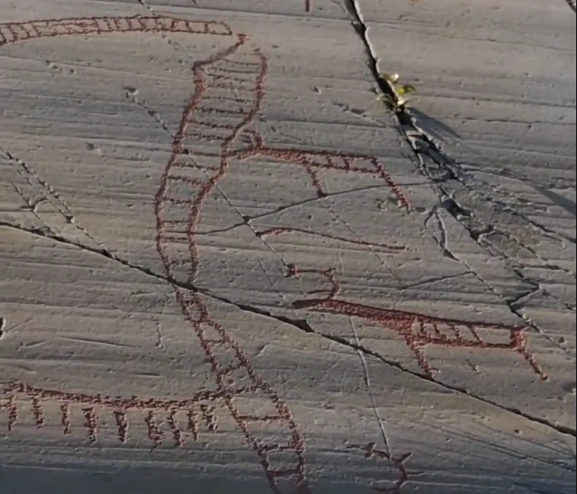 Antichi petroglifi rossi incisi su roccia grigia, raffiguranti un recinto per renne.