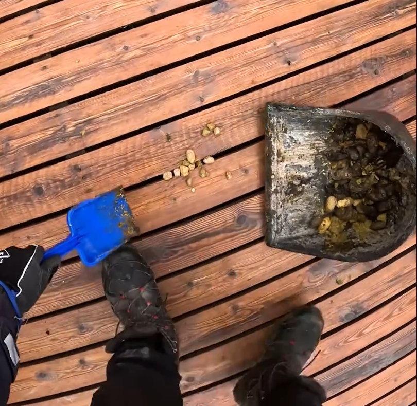 Persona che pulisce escrementi di animali da un ponte di legno con una paletta blu e una pala più grande piena di detriti.