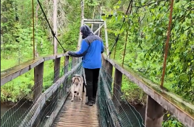 Stefano Mini e il suo cane attraversano un ponte sospeso in una foresta lussureggiante.