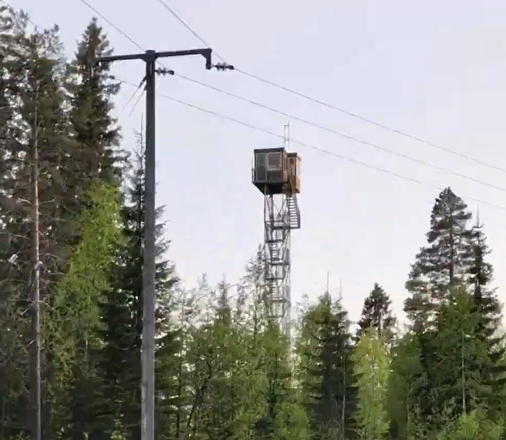 Torre di avvistamento in metallo con cabina in legno tra alberi di pino e un palo della luce sotto un cielo nuvoloso.