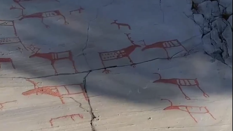 Antiche incisioni rupestri rosse raffiguranti cervi o renne su una parete rocciosa chiara, con dettagli stilizzati.