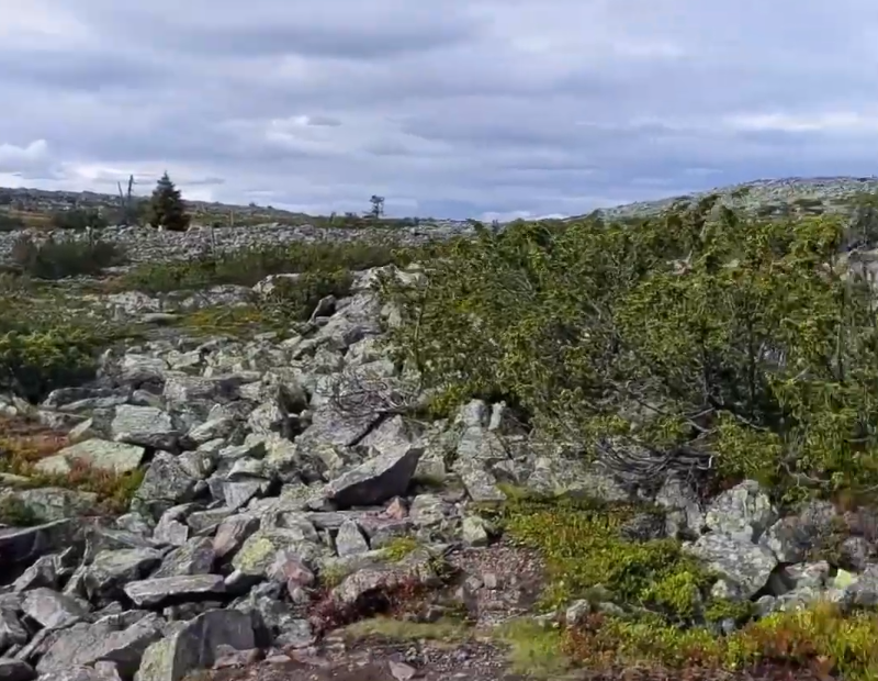 Rakka sulla collina di Totovaara.