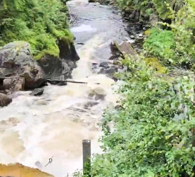 Fiume con rapide e rocce, circondato da fitta vegetazione verde e alberi lussureggianti su entrambe le sponde.