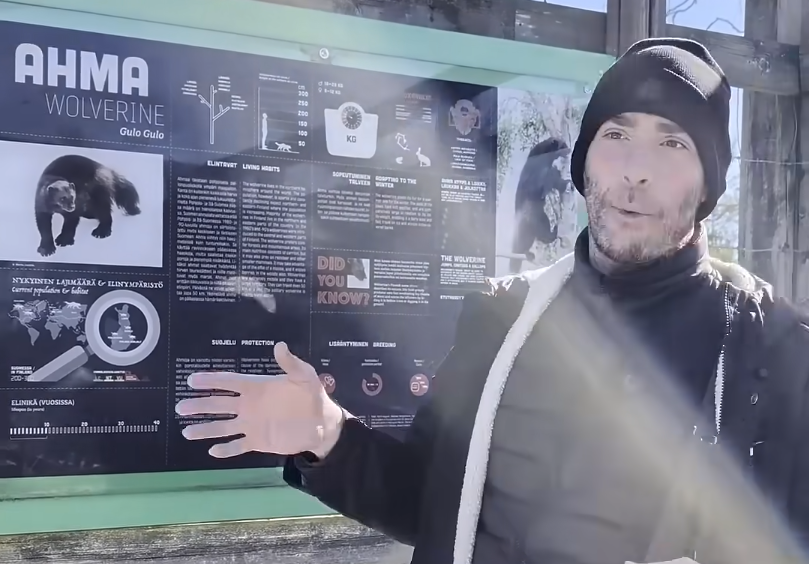 Stefano Mini spiega il pannello informativo sul ghiottone (wolverine) con immagini e dettagli sull'habitat e la protezione.