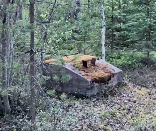 Struttura in cemento coperta di muschio al confine finlandia-russia.
