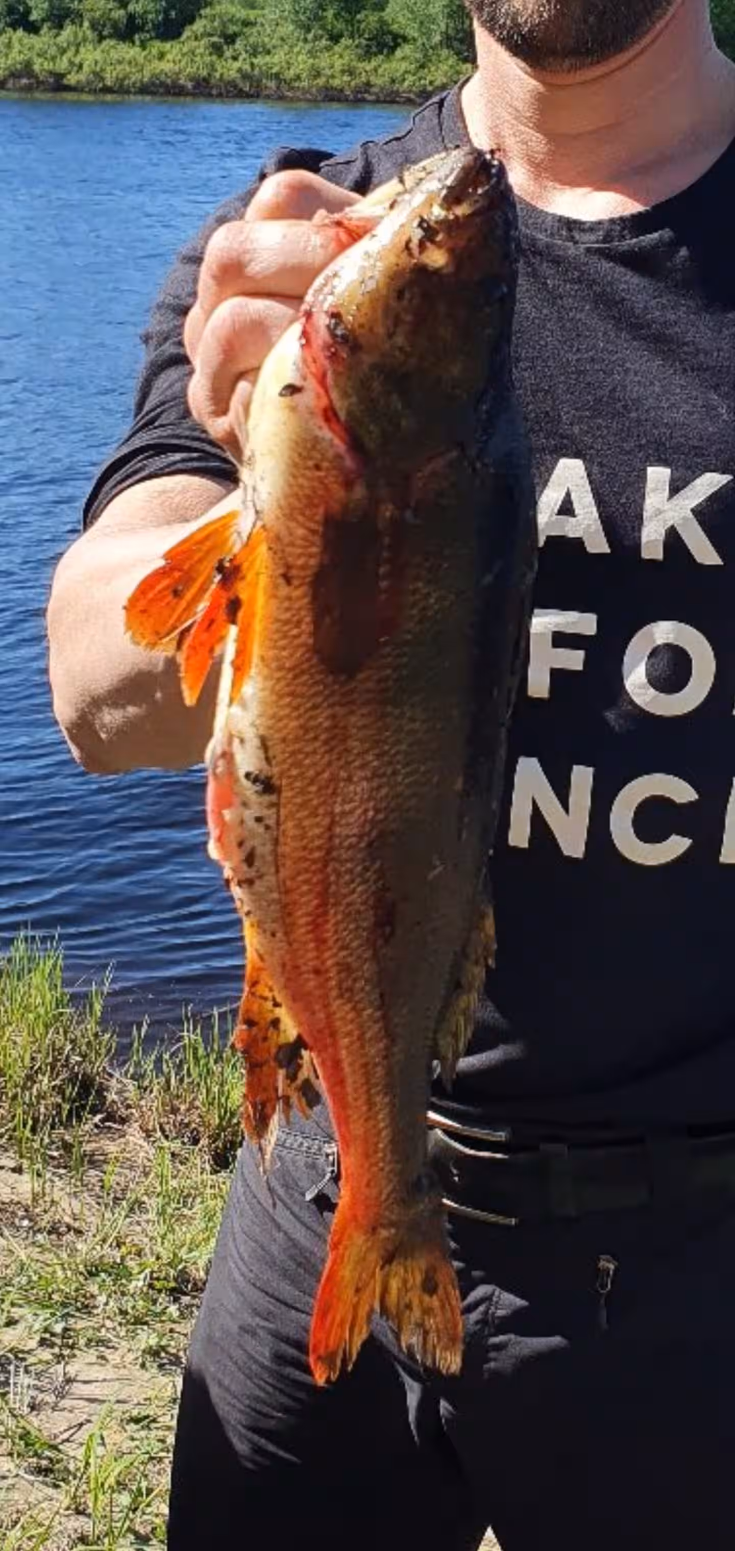 Pesca sul ghiaccio e pranzo sul fiume: il tuo pesce, cucinato sul fuoco — foto 6