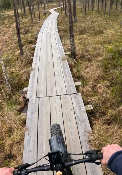 Nel Flusso della Natura: In E-Fatbike intorno al Monte Levi — foto 4