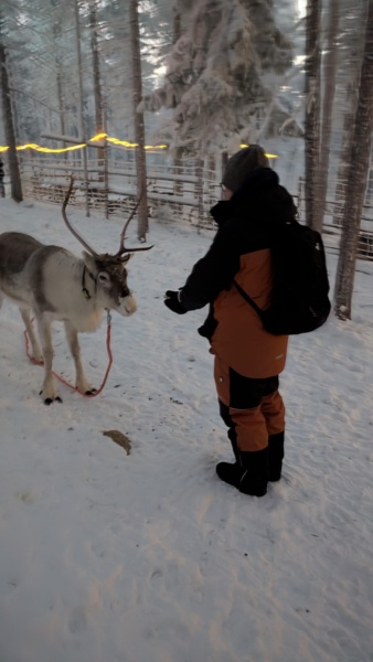 Incontro Autentico con le Renne — foto 1