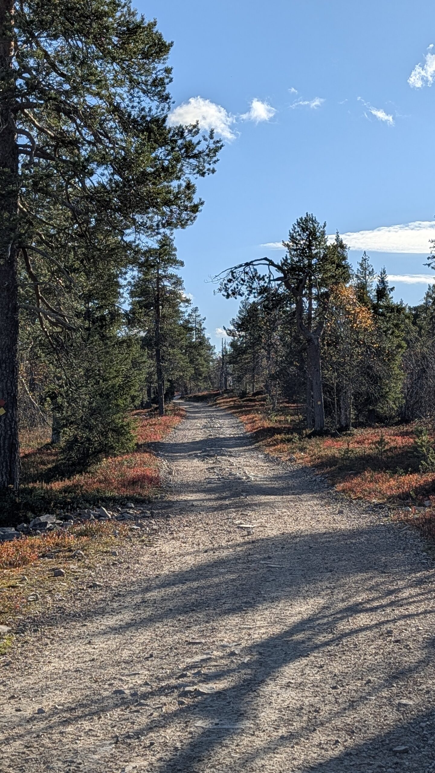 Miniera di ametiste e parco naturale Pyhä-Luosto — foto 3