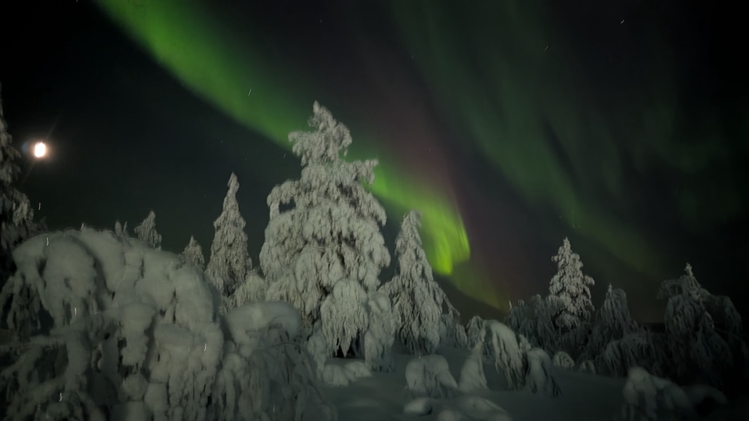 Husky sotto l'Aurora: 10 km nella Notte, Sauna a Legna e Cena Lappone — foto 3