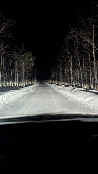 Husky sotto l'Aurora: 10 km nella Notte, Sauna a Legna e Cena Lappone — foto 5