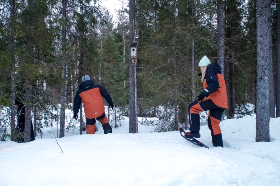 Nel cuore del gelo: La tua notte segreta in Lapponia — foto 1