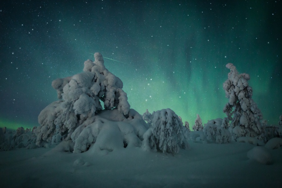La Foto che Nessuno Riesce a Fare: Servizio Fotografico Professionale sotto l'Aurora — foto 3