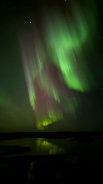 L’Anima dell’Artico: Ciaspolata Sotto le Stelle e Cena nel Bosco — foto 7