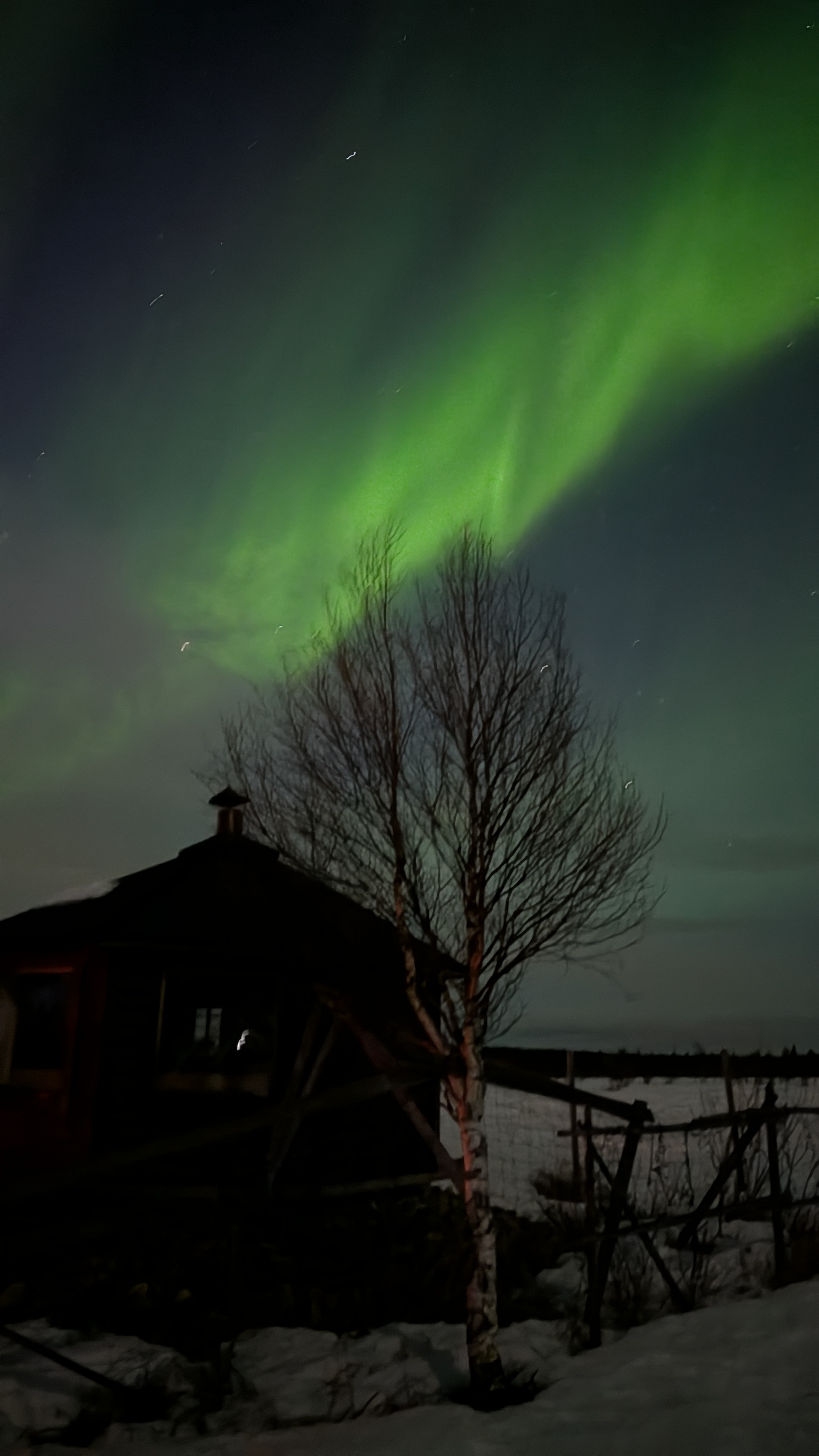 L’Anima dell’Artico: Ciaspolata Sotto le Stelle e Cena nel Bosco — foto 1