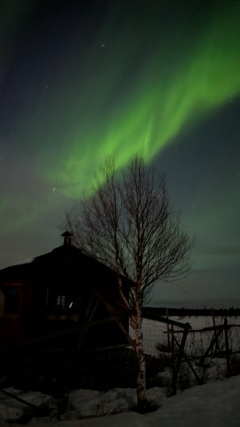 L’Anima dell’Artico: Ciaspolata Sotto le Stelle e Cena nel Bosco — foto 1