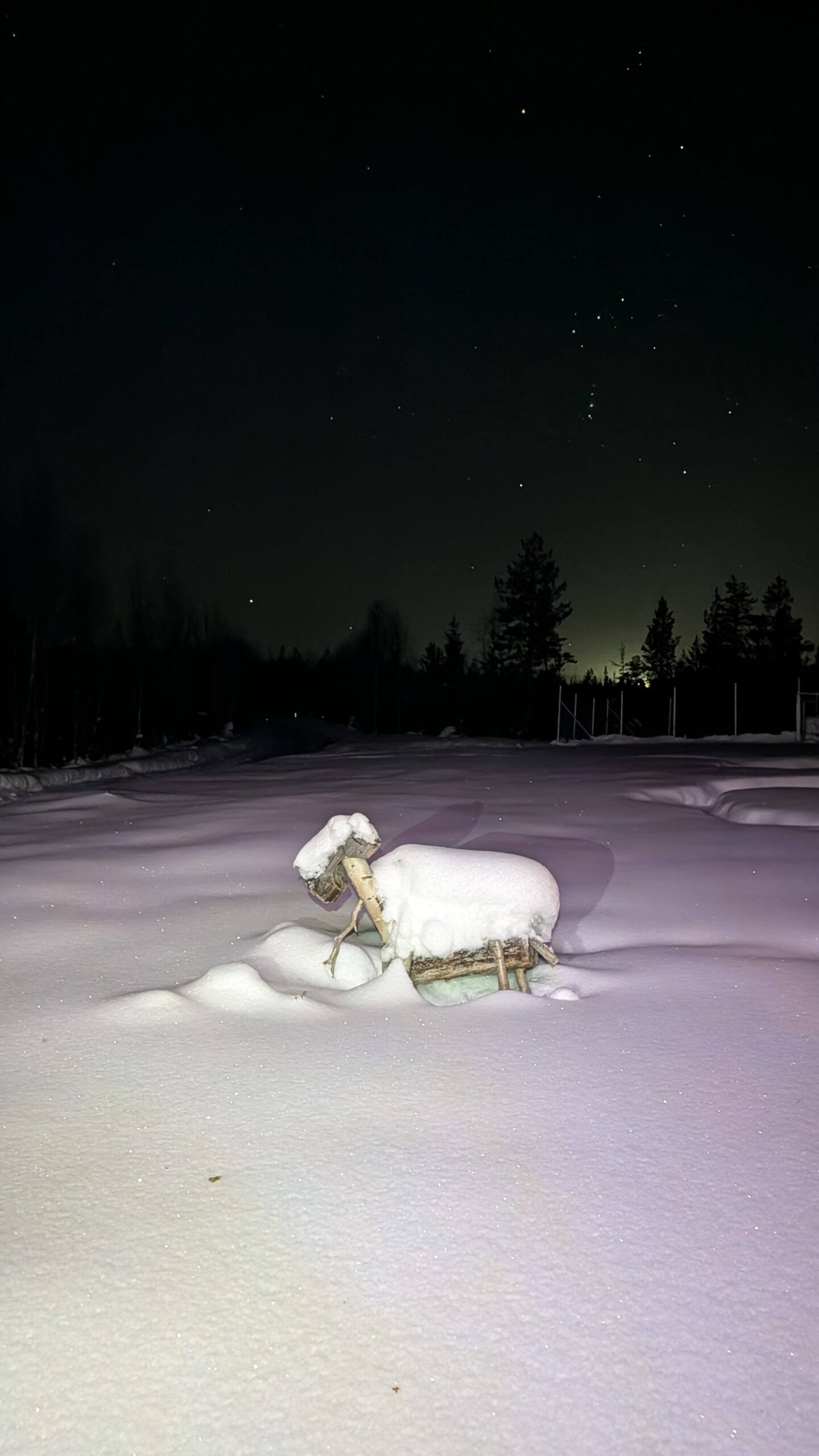 Oltre i Confini di Levi: La Lapponia Segreta a Muonio — foto 12
