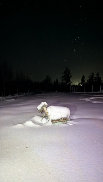 Oltre i Confini di Levi: La Lapponia Segreta a Muonio — foto 12