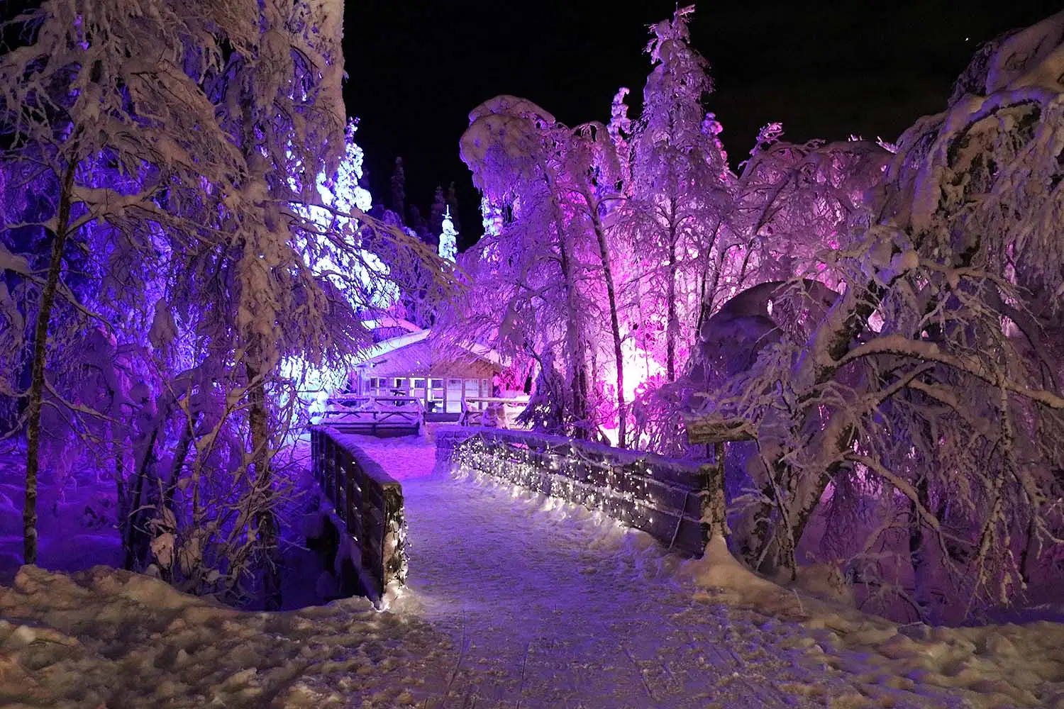Villaggio degli elfi, renne e babbo natale — foto 4