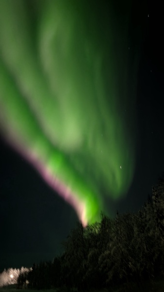 Se vuoi essere sicuro di vedere l'aurora in Lapponia — foto 4