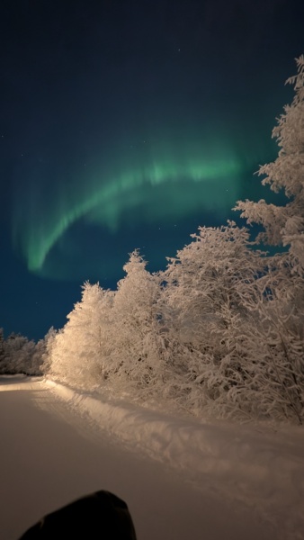 Se vuoi essere sicuro di vedere l'aurora in Lapponia — foto 6