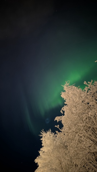 Se vuoi essere sicuro di vedere l'aurora in Lapponia — foto 7